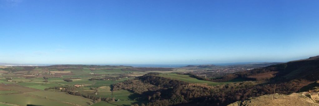 Frances Healey banner