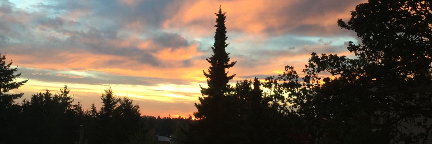 sheenasneddon's profile banner image