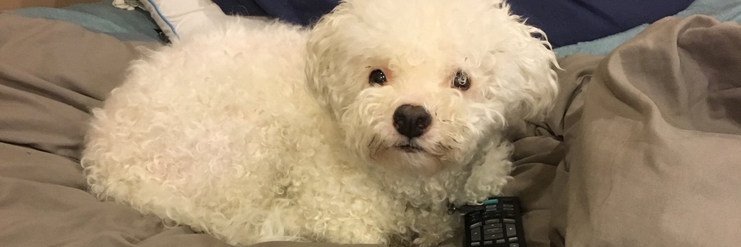 tessieayersbub's profile banner image