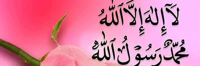 Nasir Iqbal Awan's banner