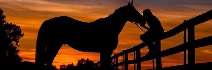 أفراح 💕 banner