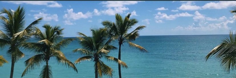 _simplytam's profile banner image