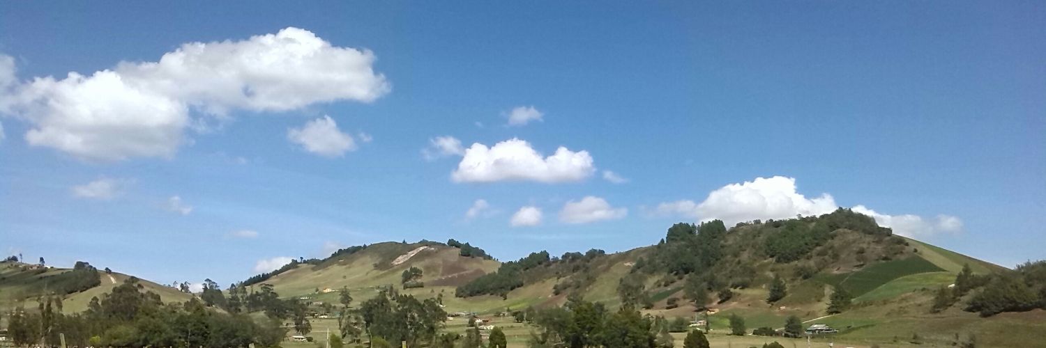 bmmfonseca's profile banner image