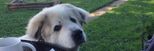 sandys Profile Banner