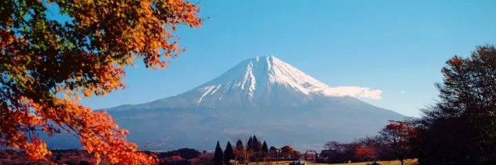株式投資高騰します banner