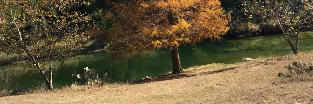 Steph_enwolf's profile banner image
