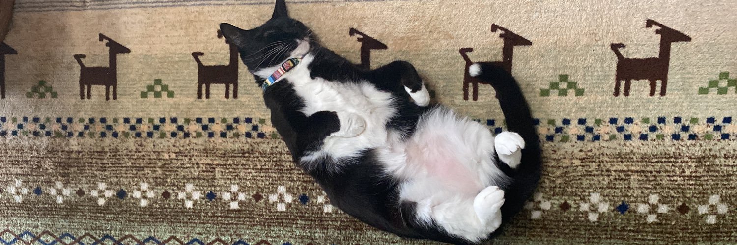 𓆫 FUMI 𓆫 banner