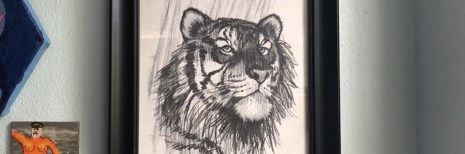 TuTigerParty's profile banner image