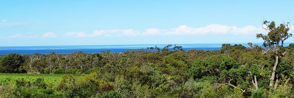 me_boyo Profile Banner