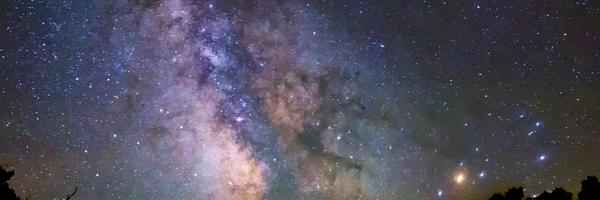 _alex_sheehan Profile Banner