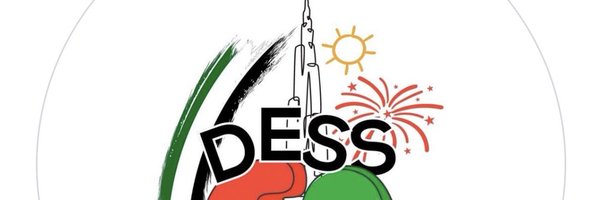 DESSyear1 Profile Banner