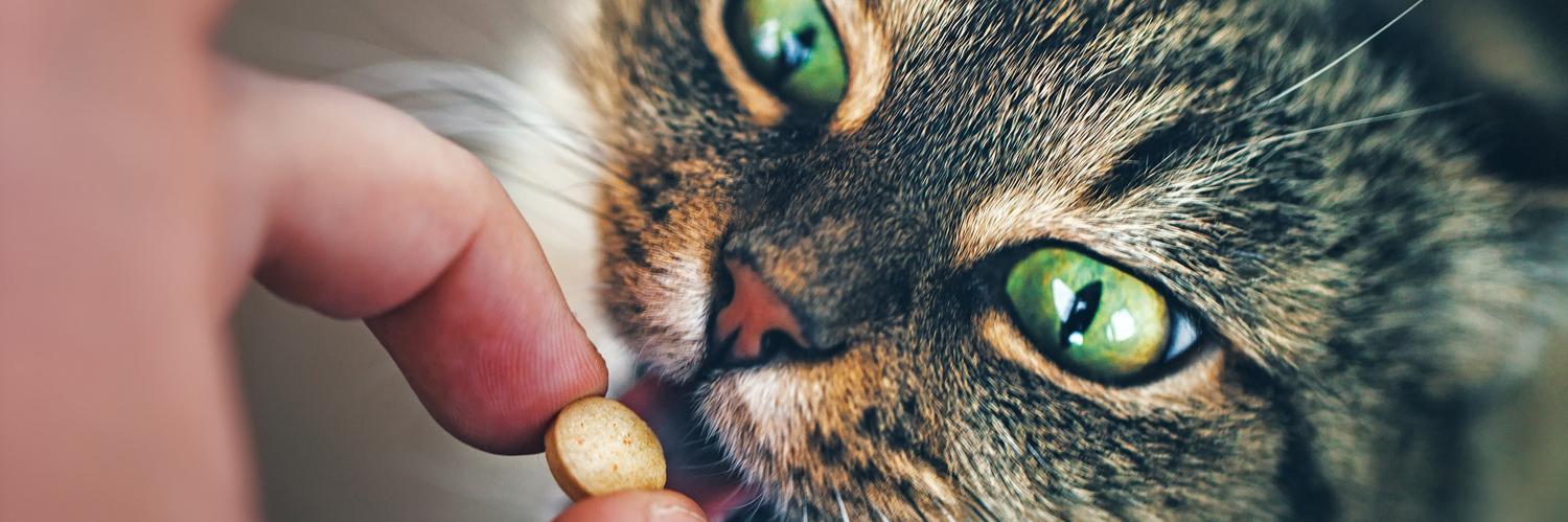 Veterinary Advantage banner