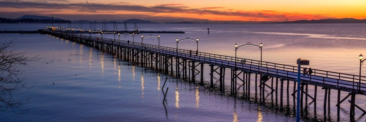 🇨🇦Schtev🇨🇦 banner