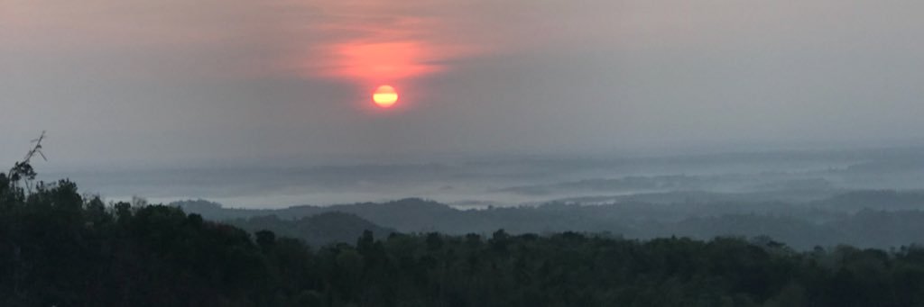 buzzyniza's profile banner image