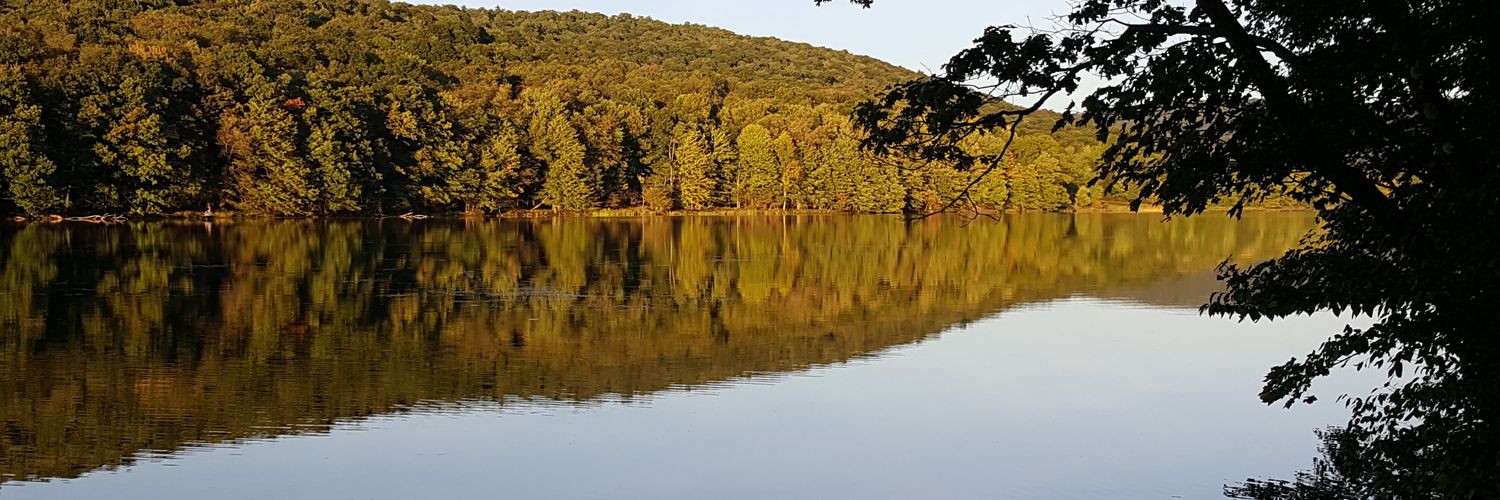 MJCavanagh's profile banner image