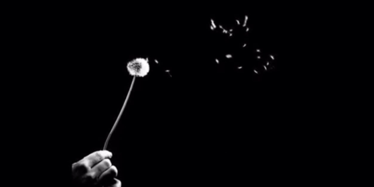 Olivia Zerón Tena banner