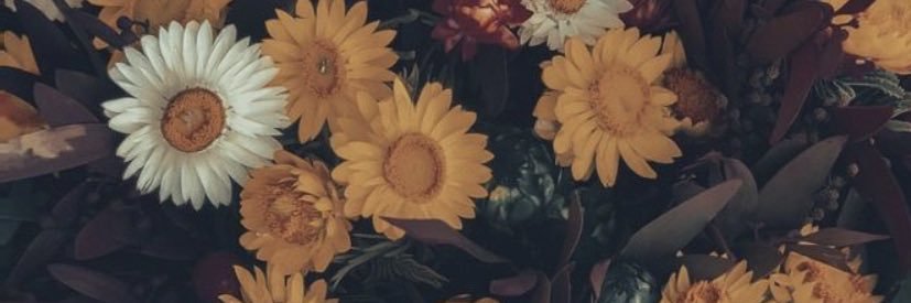 KayKhon21's profile banner image