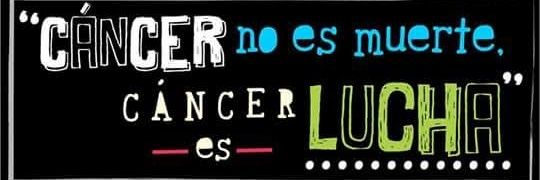mayravaldees's profile banner image