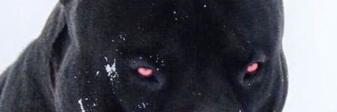 whatisinfinite's profile banner image