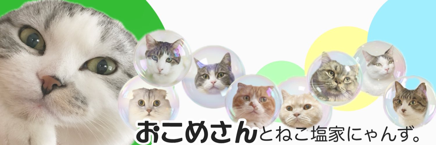 おこめさんとねこ塩家にゃんず。 banner