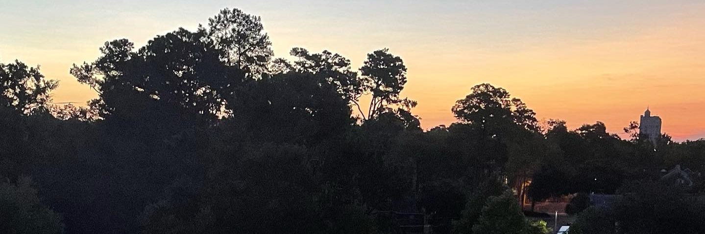 aileengonz's profile banner image