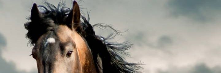 GKHYMN's profile banner image