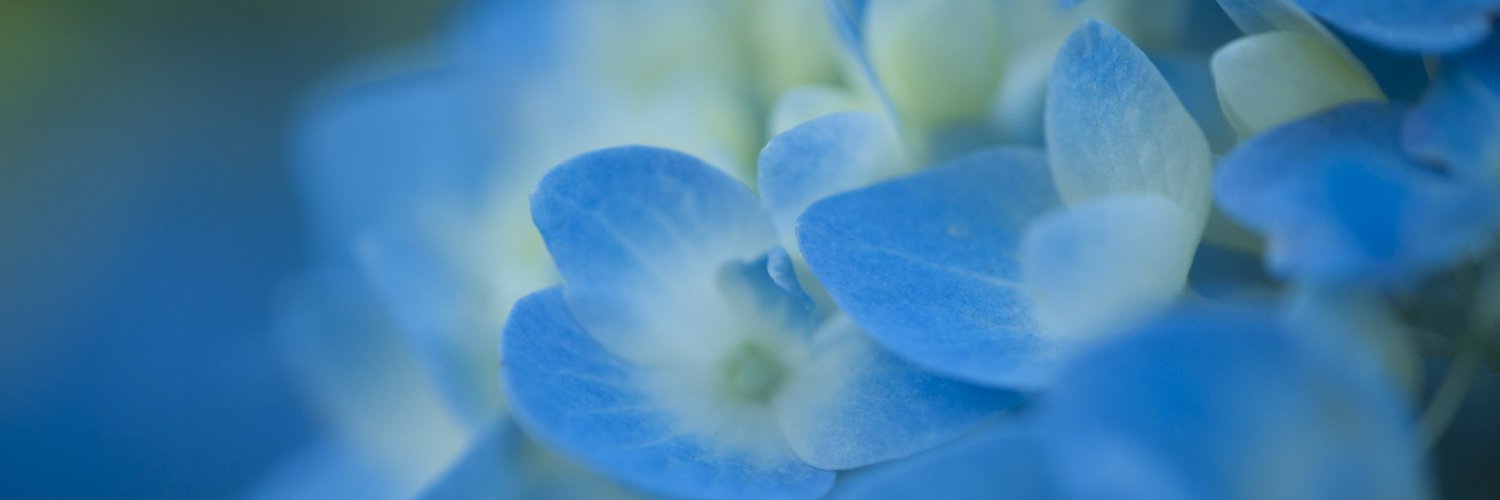 fumimemo's profile banner image