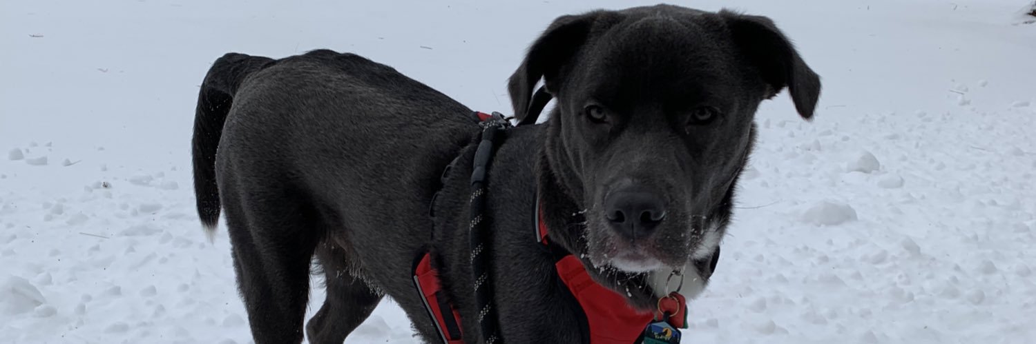 cjord123's profile banner image