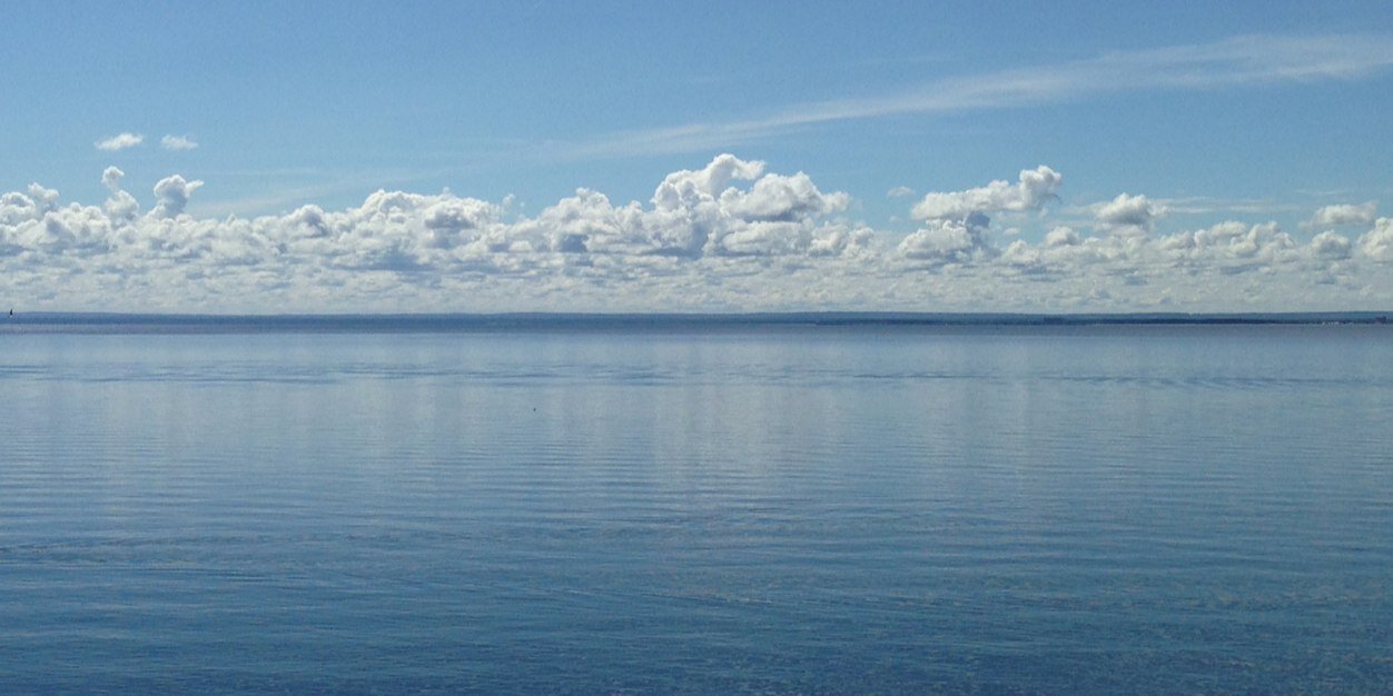 lisakkaufman's profile banner image