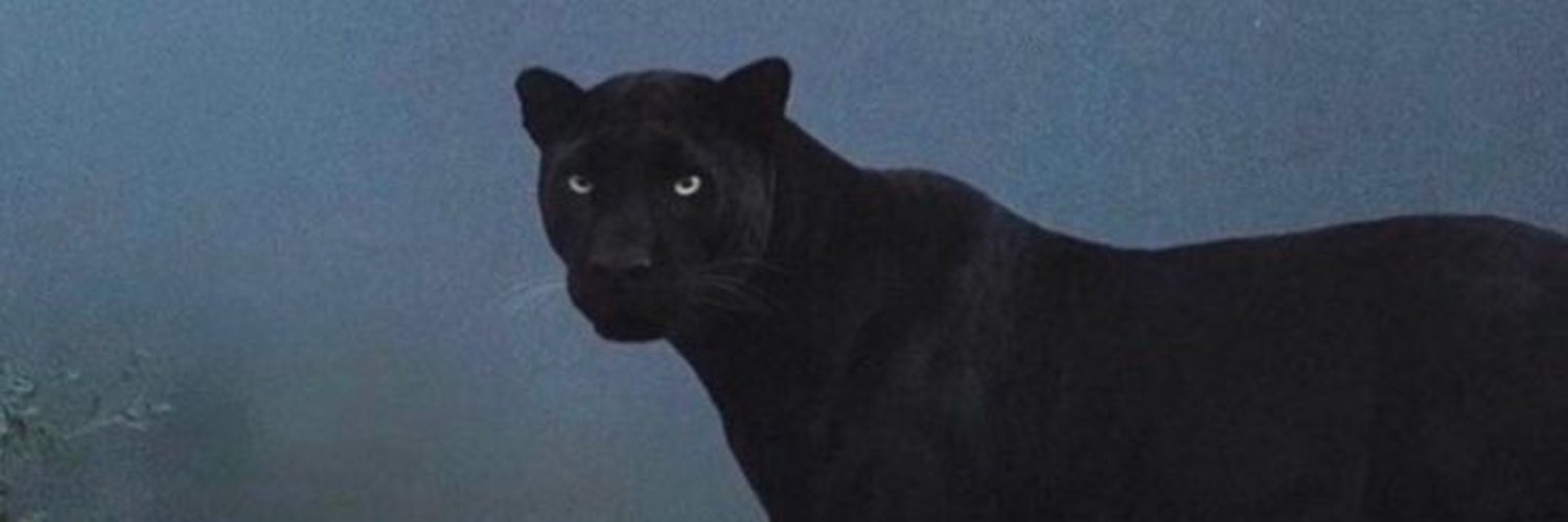 jUNi0RCS's profile banner image