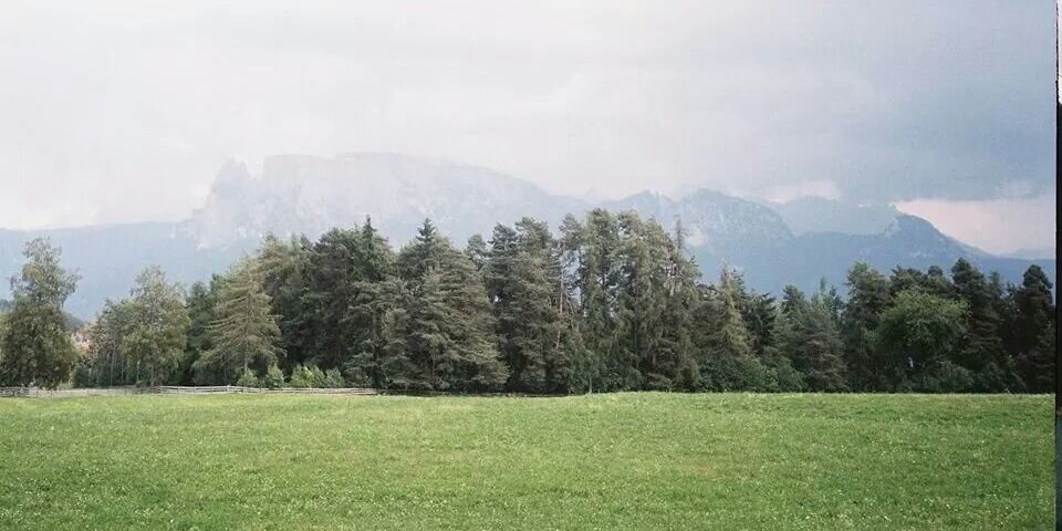 Andreas Kofler banner