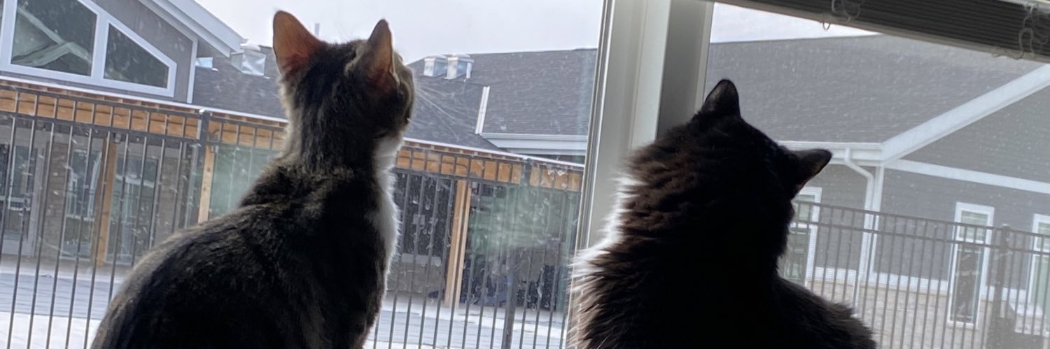 KatieMorrisonx's profile banner image