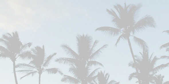 bundleofnarry's profile banner image