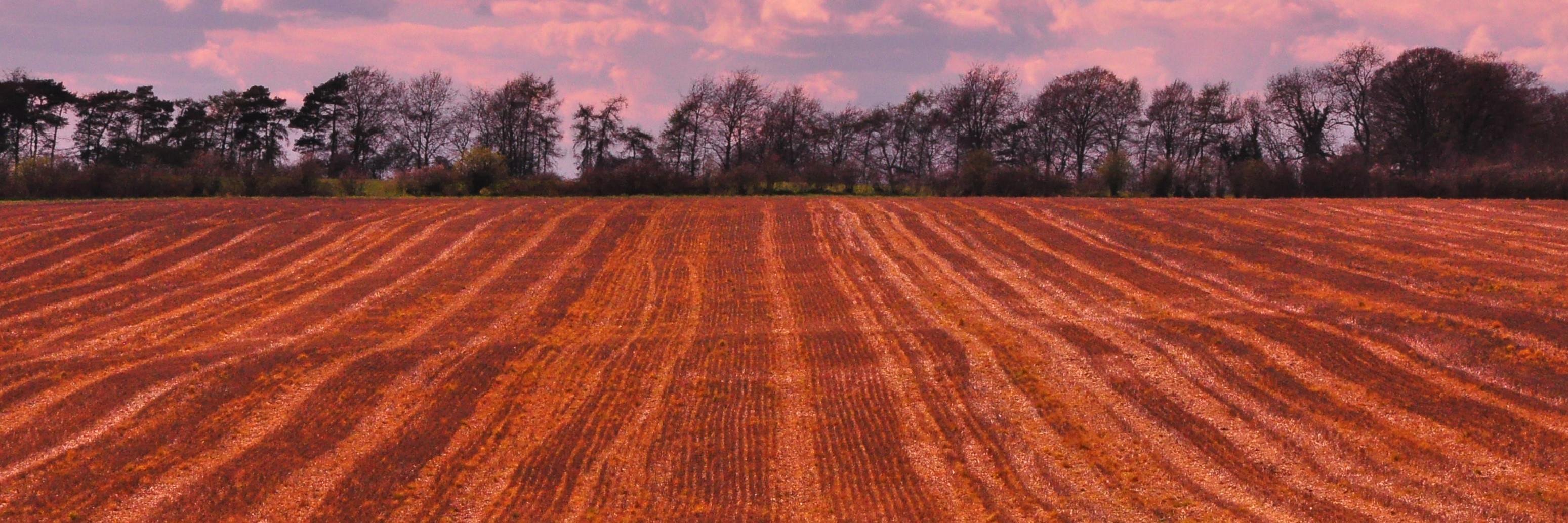 nickwhite11872's profile banner image