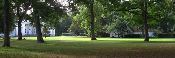 Quaterelle Profile Banner