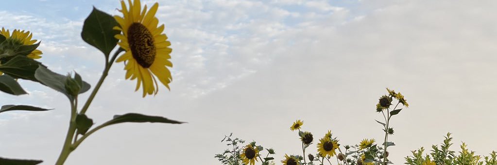 alamal959's profile banner image