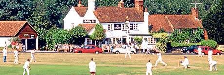 TheCricketCapt's profile banner image