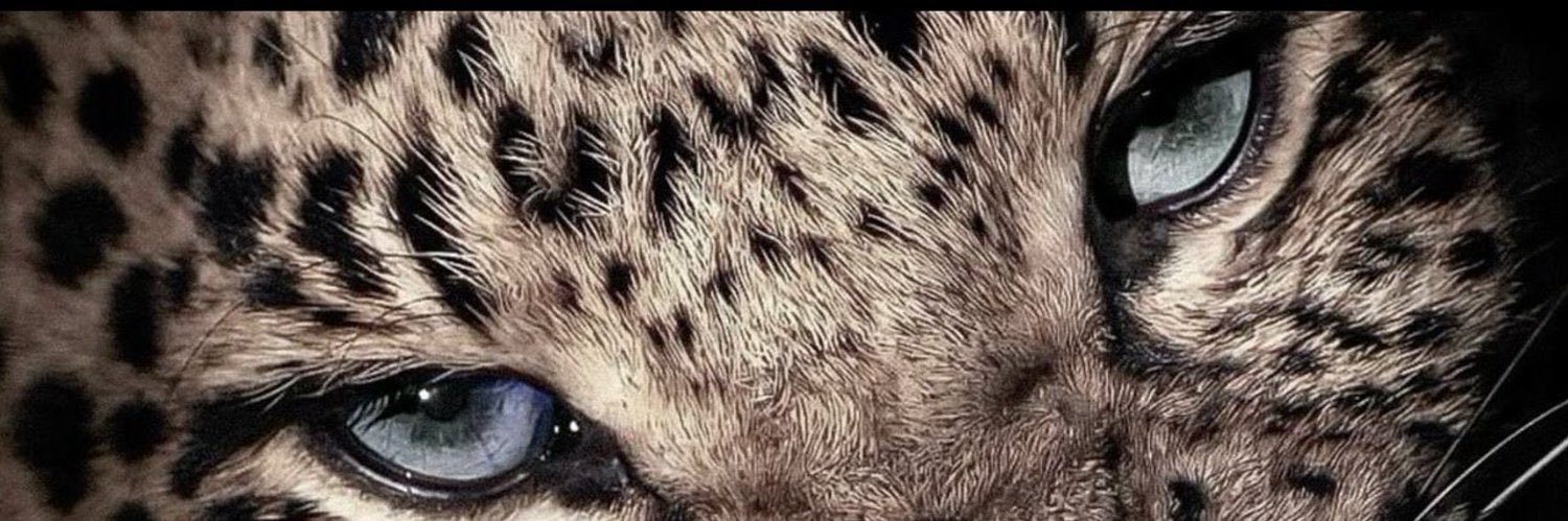 Evalfahd's profile banner image