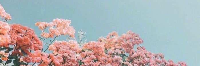 cintamedina4's profile banner image