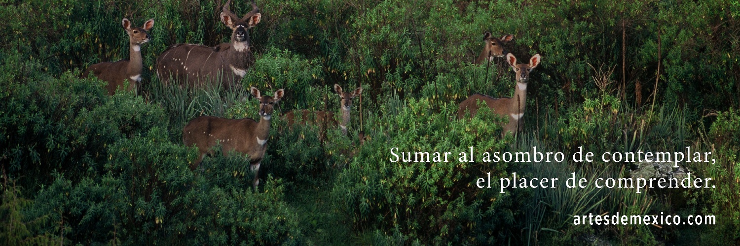 artesdemexico's profile banner image