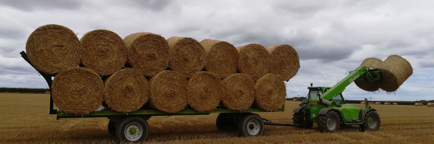 Andrew K Steele banner