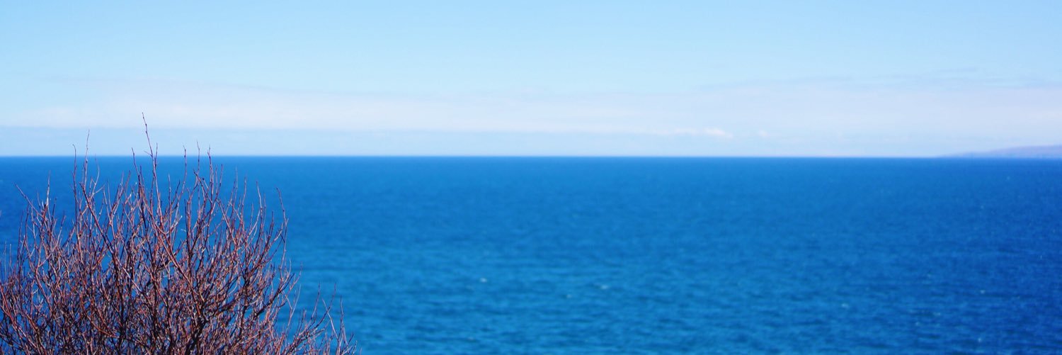 VLIM banner