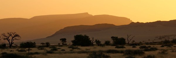 dr_bff Profile Banner