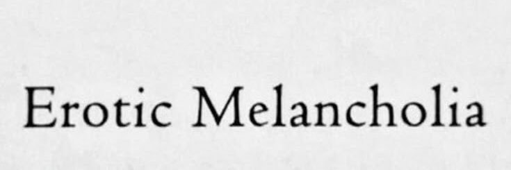 𓆣 banner
