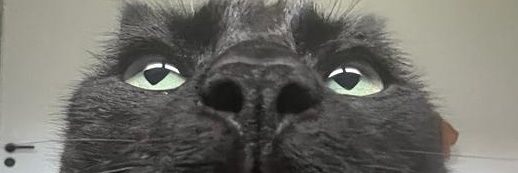 aka_meow's profile banner image