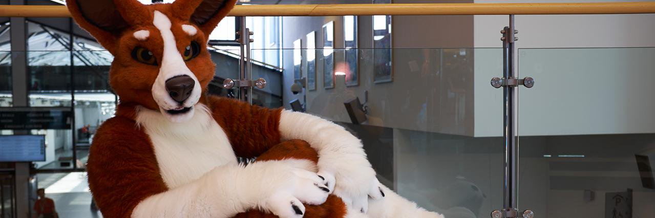 Neirin_publ's profile banner image