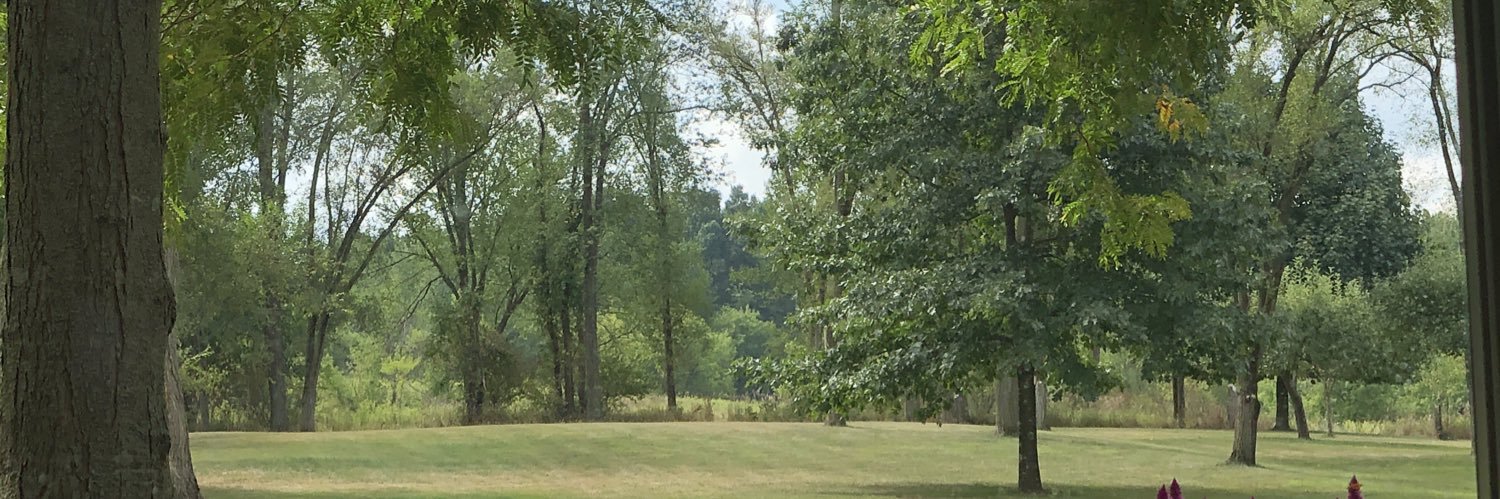 jasonlheld's profile banner image