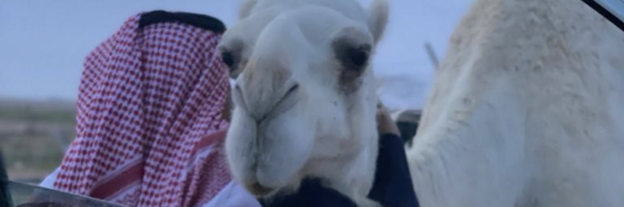 محمد سالم الطريسي banner