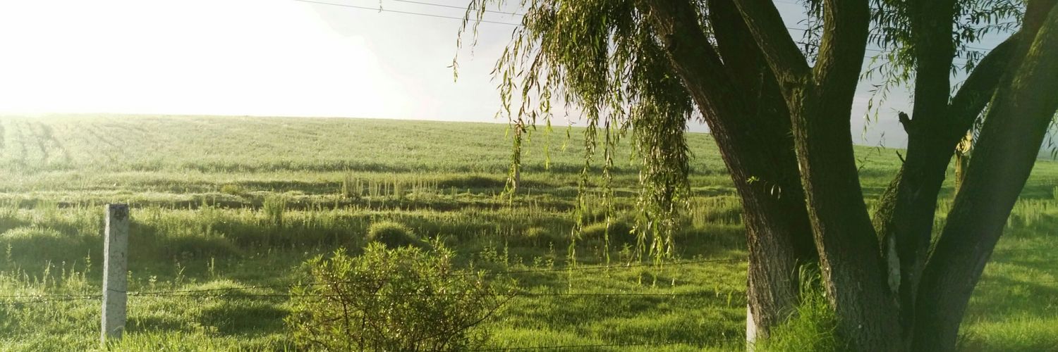 EliLoV04's profile banner image