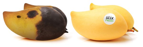 stixfresh Profile Banner